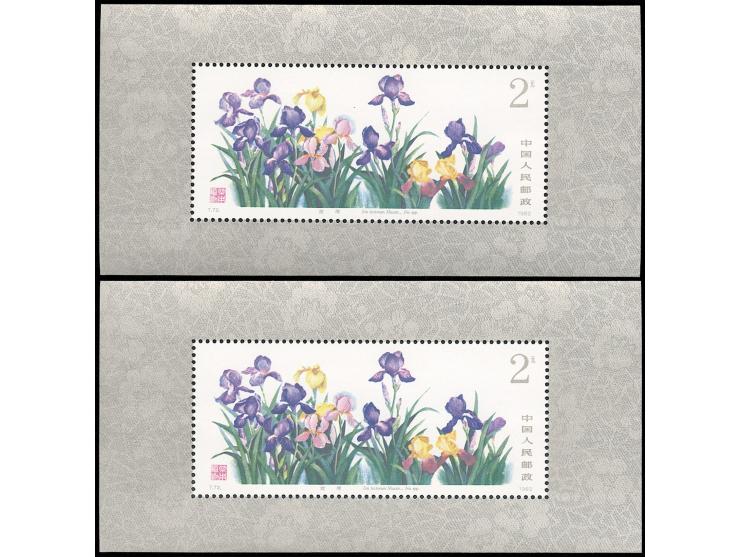 all fresh MNH with even minor light toning. Still Very Fine.
